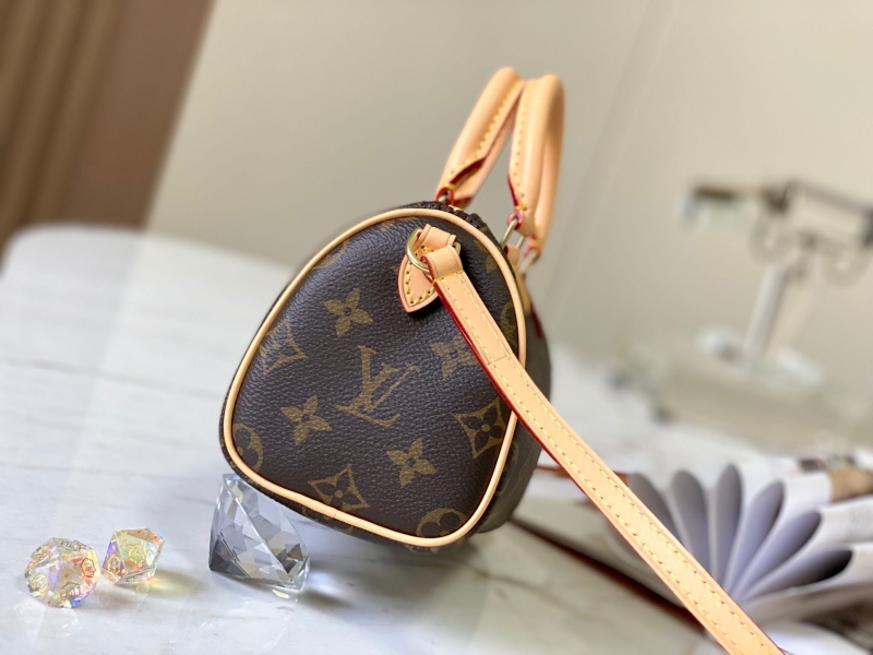 LV Speedy Bags